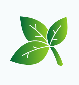 BASIL_Leaf_1