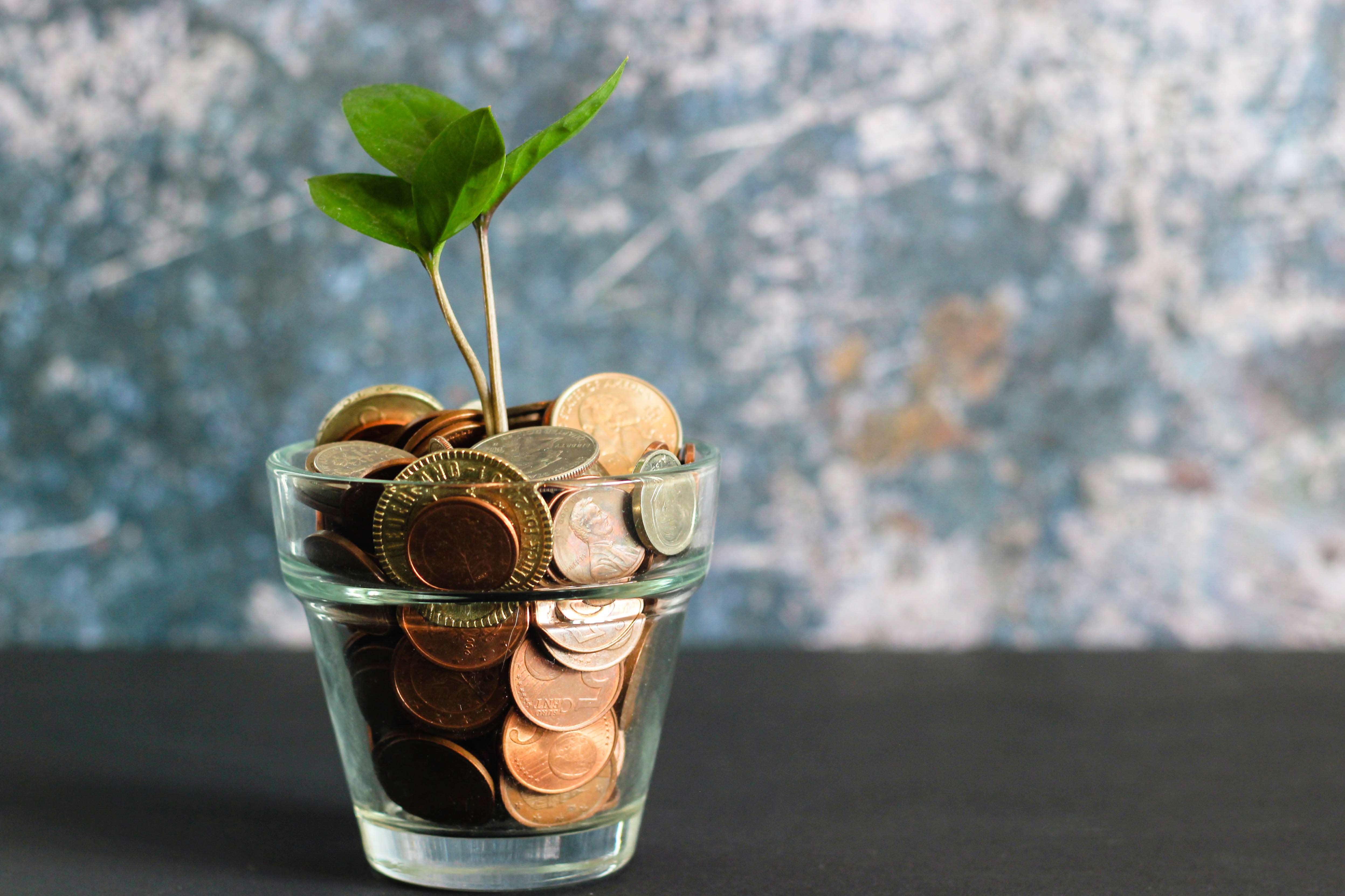 Learn why small businesses are turning to QBox and Quickbooks for financial management.